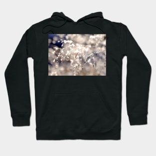 The first snow Hoodie